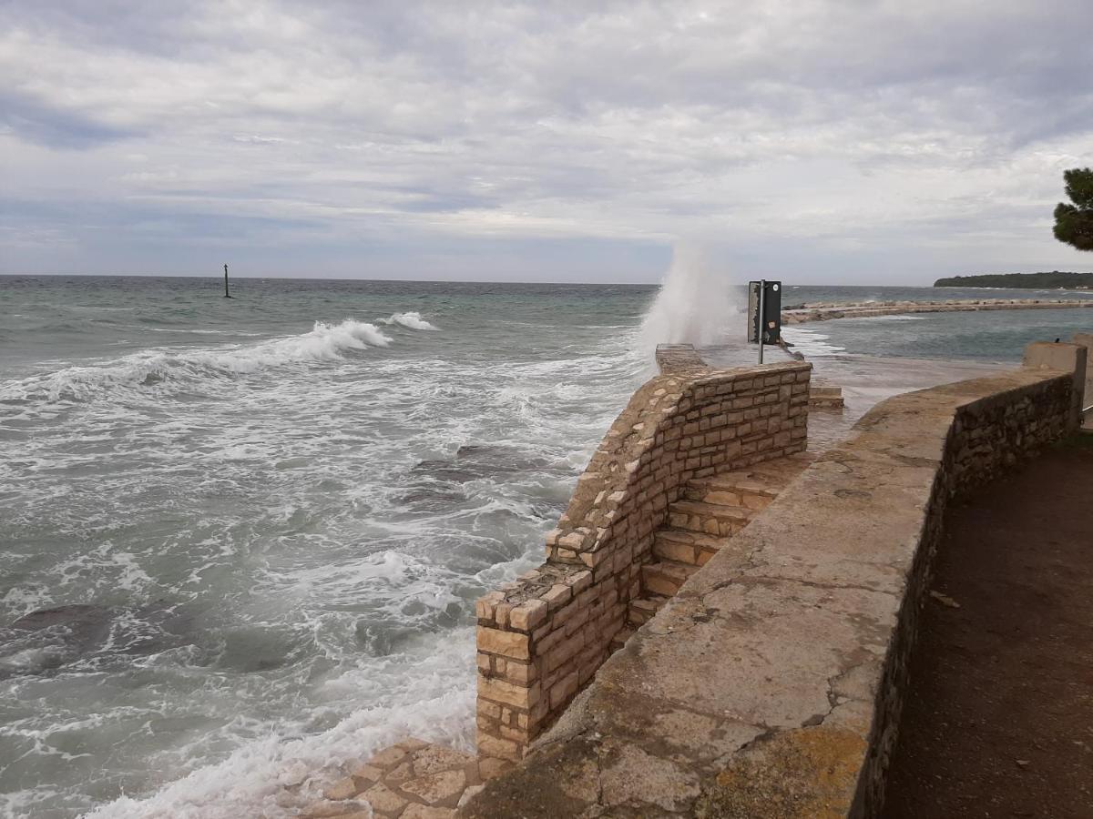 Medo Apartman Novigrad Istria Kültér fotó